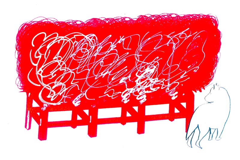 うねむねを見つめる犬